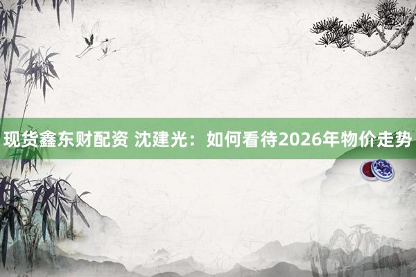 现货鑫东财配资 沈建光：如何看待2026年物价走势